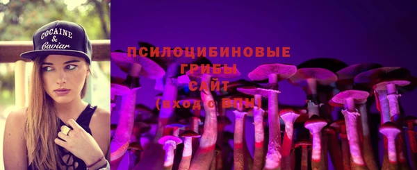 гидра Армянск