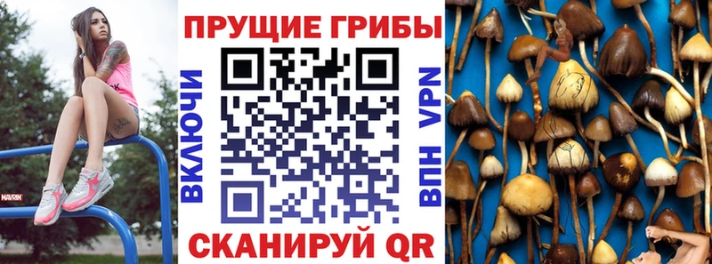 что такое Певек Галлюциногенные грибы GOLDEN TEACHER